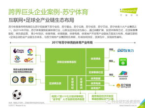 2017年中国互联网体育服务行业研究报告
